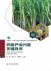 佤族产业兴旺关键技术