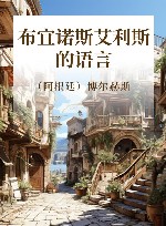 布宜诺斯艾利斯的语言