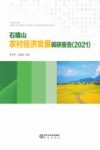 石嘴山农村经济发展调研报告  2021