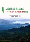 云南林业和草原“十四五”保护发展规划研究封面