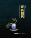 写真铜艺  中国古代青铜焚失法铸造技艺的传承与创新封面
