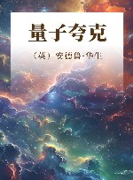 量子夸克封面