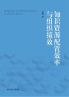 知识资源配置效率与组织绩效封面