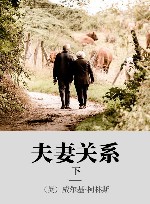 夫妻关系  下