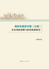 南亚东南亚中国云南企业风险预警与防范机制研究