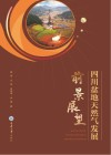 四川盆地天然气发展前景展望