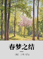 春梦之结 电子书封面