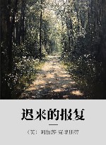 迟来的报复 封面