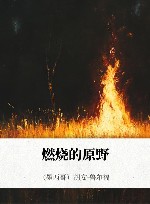 燃烧的原野