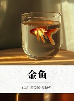 金鱼