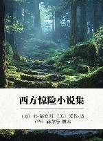 西方惊险小说集  2