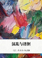 混乱与迷惘 封面