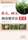 蔬菜病虫害诊治丛书 西瓜甜瓜病虫害诊治图谱封面