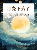 月亮下去了