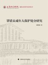 上海政法学院建校40周年系列丛书  罪错未成年人保护处分研究
