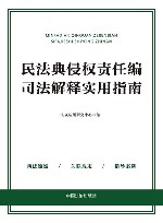 民法典侵权责任编司法解释实用指南