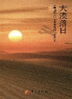 大漠落日  《英国病人》的电影改编