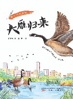 暖心自然笔记  大雁归来