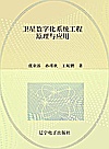 卫星数字化系统工程原理与应用封面
