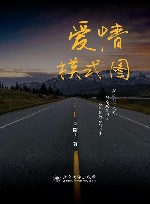 爱情模式图封面