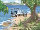 光明里的超人银叶树封面