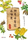 神奇中草药在哪里  东南篇封面