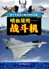 嗜血雄鹰  战斗机封面