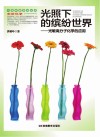 光照下的缤纷世界  光敏高分子化学的应用封面