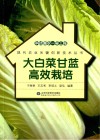 科技惠农一号工程  大白菜甘蓝高效栽培