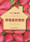 科技惠农一号工程  草莓高效栽培封面