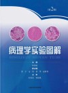 病理学实验图解  第2版封面