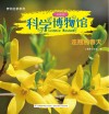 科学博物馆  连翘的春天  业务二部专用 封面
