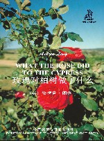 玫瑰对柏树做了什么