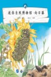 迷你自然博物馆  向日葵