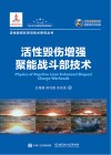活性毁伤增强聚能战斗部技术封面