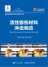 活性毁伤材料冲击响应封面