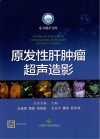 原发性肝肿瘤超声造影封面