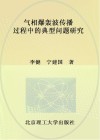 气相爆轰波传播过程中的典型问题研究封面