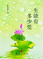 一生能有多少爱