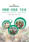 鸡腿蘑·鸡（土从）菌·羊肚菌
