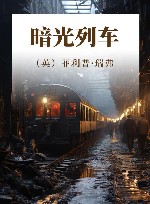 暗光列车