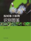桉树林下植物识别图鉴