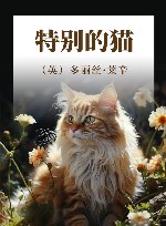 特别的猫