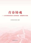 青春铸魂  北京共青团党团队育人链条相衔接、相贯通研究与实践