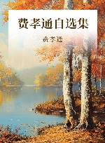 费孝通自选集