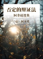 否定的辩证法  阿多诺选集