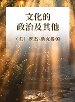 文化的政治及其他封面