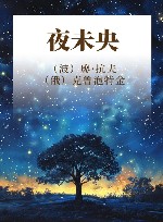 夜未央 封面