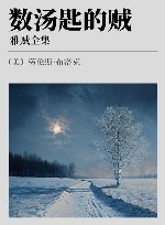 雅贼全集  数汤匙的贼