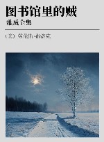 雅贼全集  图书馆里的贼